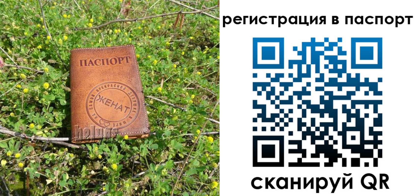 прописка законно в Нижнем Ломове